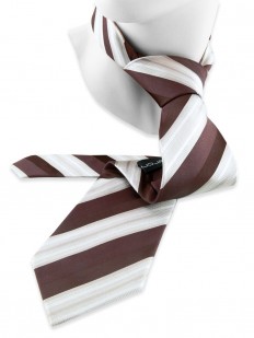 Stripe 220 - Cravate club de couleur brune et beige.